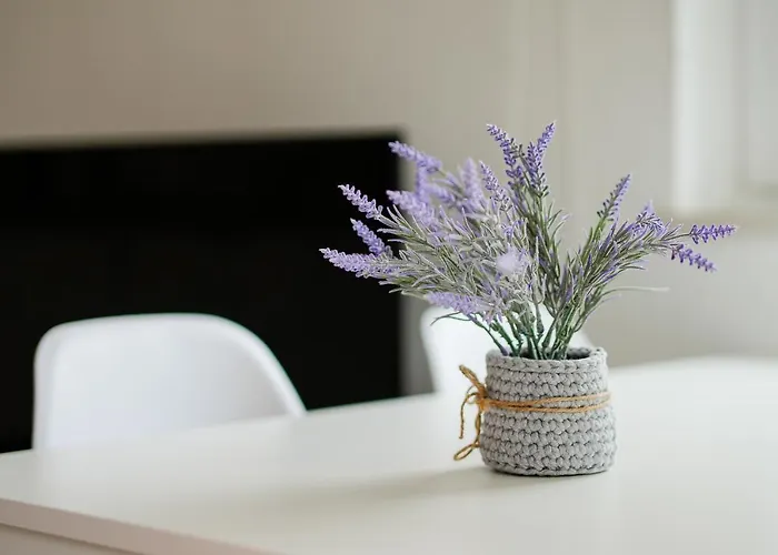 Apartment Sunny - 5min To The By Lovelystay Albufeira